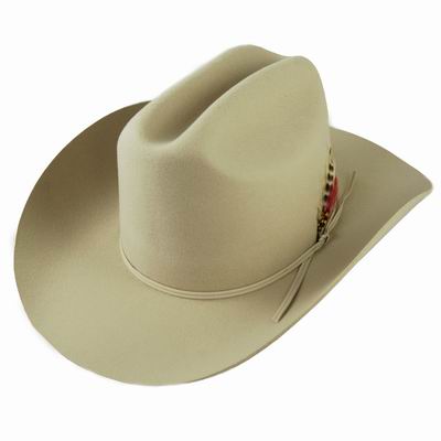 El asunto de Sinaloa