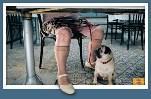 Del lenguaje, de la conversaci&oacute;n y del ingenio